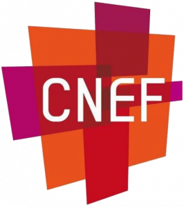 Logo du CNEF (Conseil National des Evangéliques de France) de France dont est membre l'Église Évangélique MLK Massy